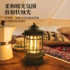 Outdoor camping lamp, portable multi-functional LED camp lamp, tent lamp, Type-C rechargeable retro horse lamp details Picture